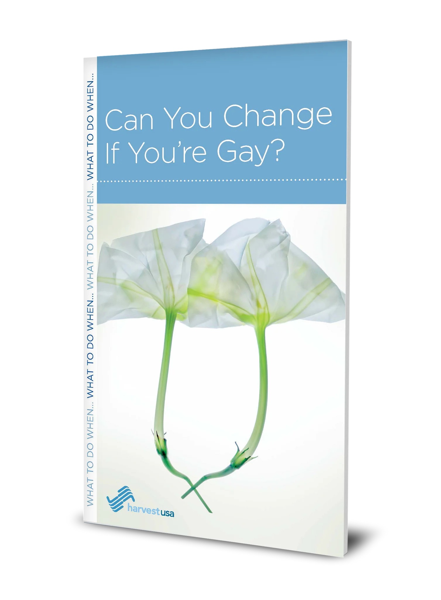 Can You Change If You’re Gay? (Minibook)