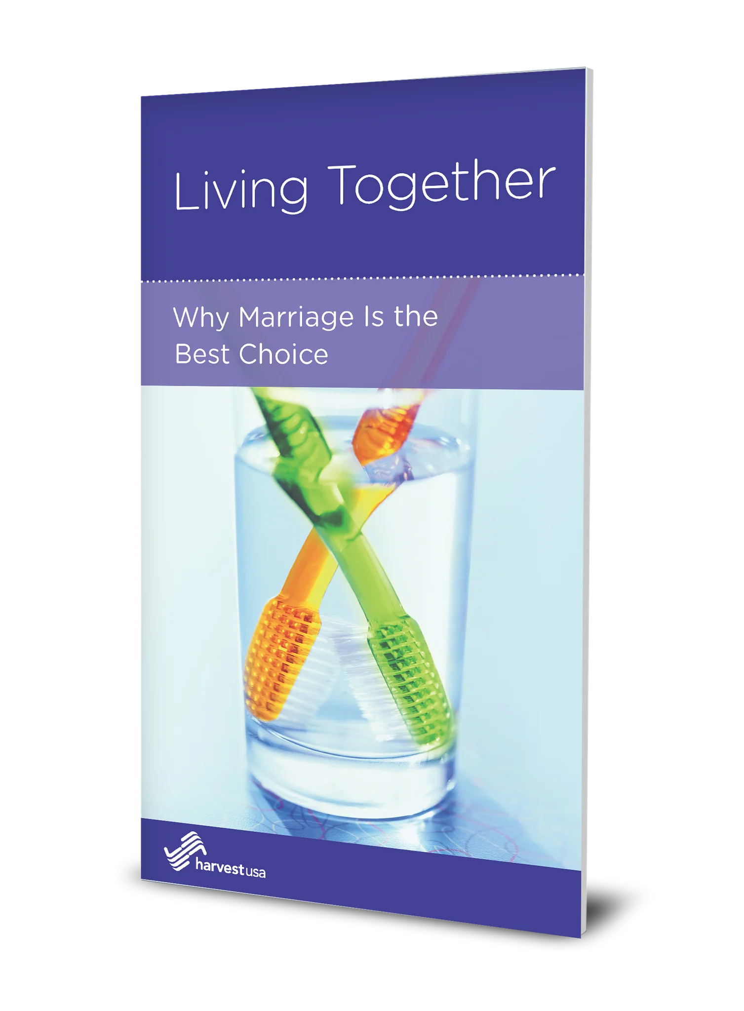 Living Together: Why Marriage is the Best Choice (Minibook)