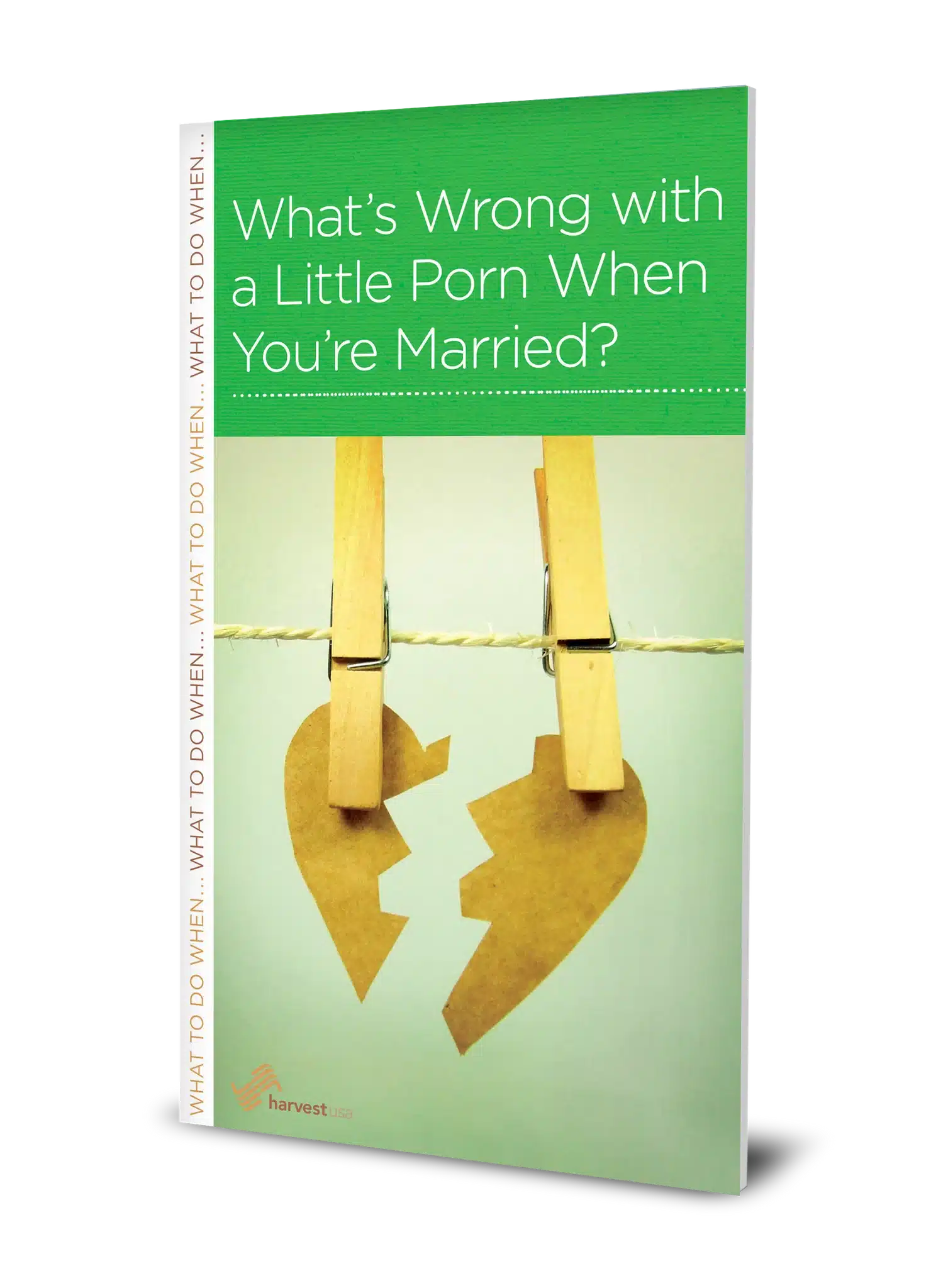 What’s Wrong with a Little Porn When You’re Married? (Minibook)