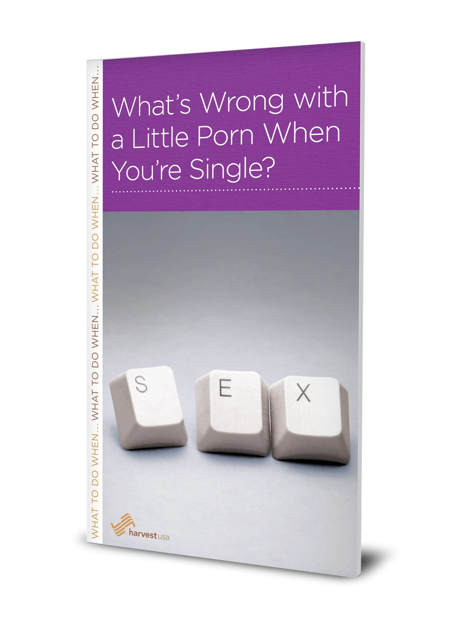What’s Wrong with a Little Porn When You’re Single? (Minibook)